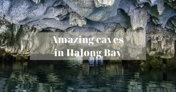The top 05 amazing caves in Halong Bay you should not miss